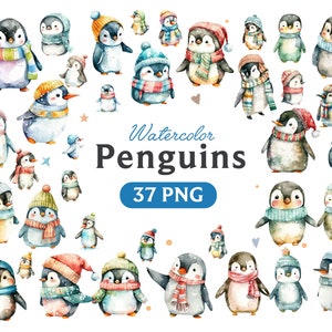 Aquarell-Pinguin-Clipart, Pinguin-Clipart, Pinguin-Png, Aquarell-Clipart, Winter-Pinguin, Winter, Mütze, Schal, süßer Pinguin, Weihnachten.