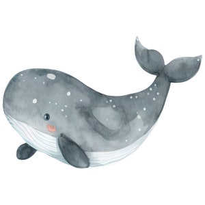 Pode incluir: Uma ilustra&ccedil;&atilde;o em aquarela de uma baleia cinza com barriga branca e um padr&atilde;o de manchas. A baleia tem uma pequena boca rosa e uma express&atilde;o amig&aacute;vel.