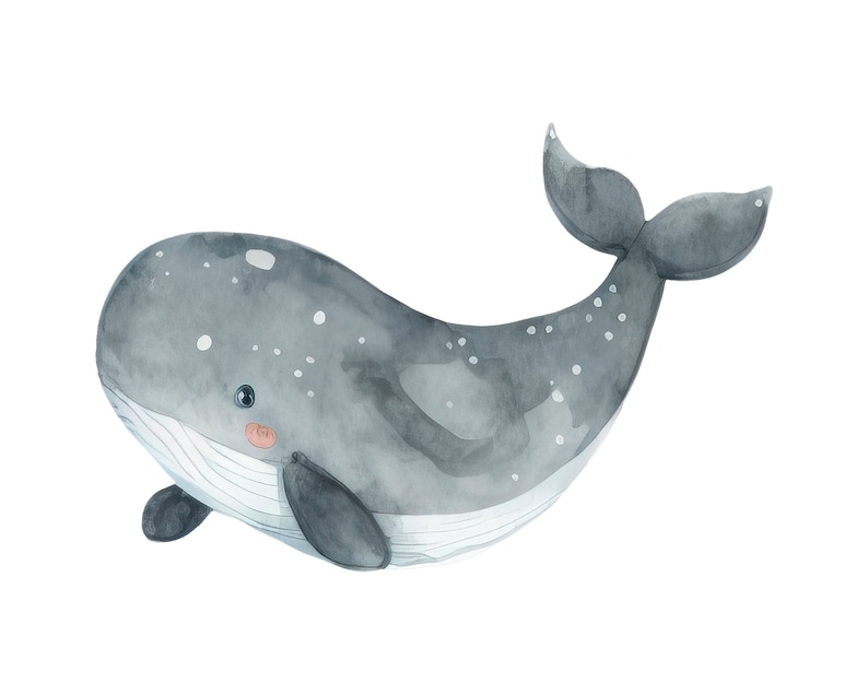 Pode incluir: Uma ilustra&ccedil;&atilde;o em aquarela de uma baleia cinza com barriga branca e um padr&atilde;o de manchas. A baleia tem uma pequena boca rosa e uma express&atilde;o amig&aacute;vel.