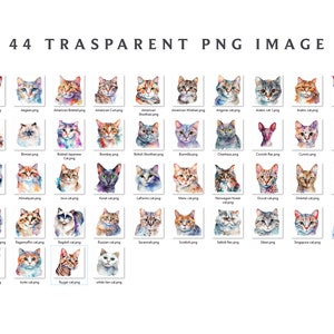 Pode incluir: Uma cole&ccedil;&atilde;o de 44 ilustra&ccedil;&otilde;es de aquarela de diferentes ra&ccedil;as de gatos. Cada ilustra&ccedil;&atilde;o apresenta a cabe&ccedil;a de um gato em um fundo abstrato colorido.