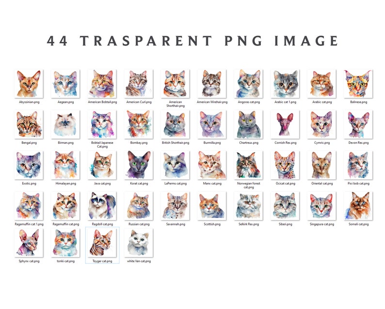 Pode incluir: Uma cole&ccedil;&atilde;o de 44 ilustra&ccedil;&otilde;es de aquarela de diferentes ra&ccedil;as de gatos. Cada ilustra&ccedil;&atilde;o apresenta a cabe&ccedil;a de um gato em um fundo abstrato colorido.