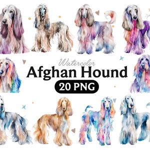 Afghan Hound Watercolor Clipart, Afghan Hound Watercolor Png, Cute Afghan Hound Nursery Decor Wall Art, Little Pet Dog Animal PNG image 1