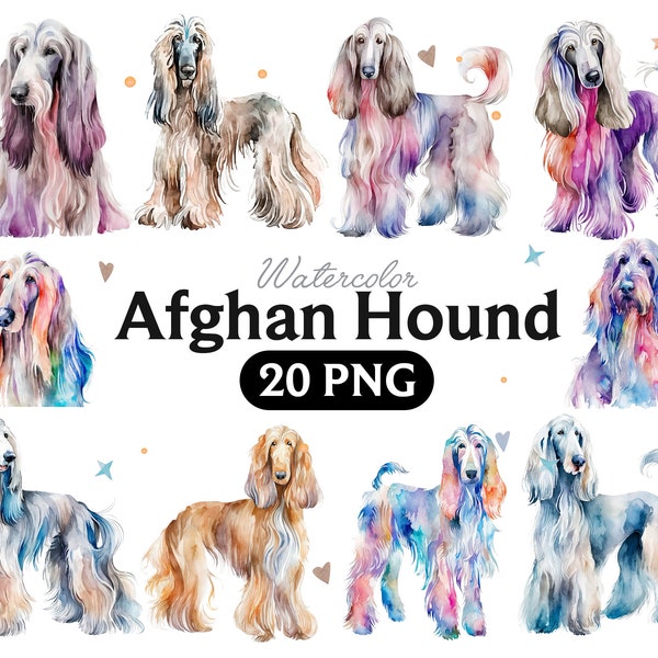 Lévrier afghan aquarelle Clipart, lévrier afghan aquarelle Png, mignon lévrier afghan pépinière Decor Wall Art, petit chien Animal PNG