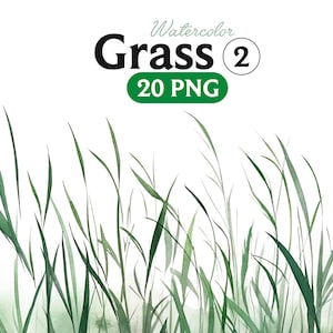 Clipart de grama aquarela, tufos de grama botânica de primavera em formato PNG download instantâneo para uso comercial, 2