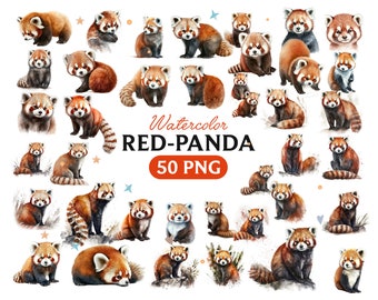 Watercolor Red Panda Clipart: 50 PNG Animal Graphics (Digital Download)