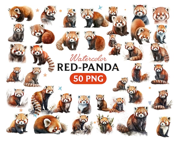 Watercolor Red Panda Clipart: 50 PNG Animal Graphics (Digital Download)