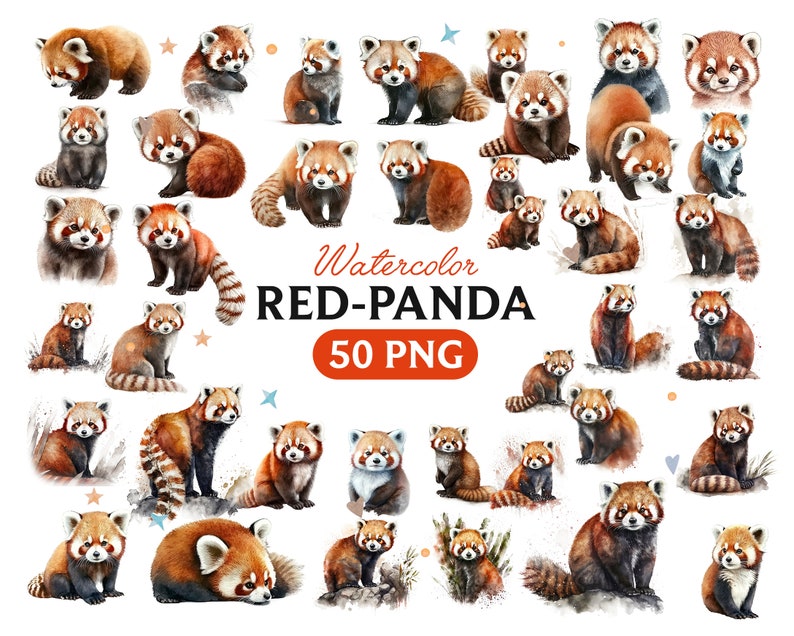 May include: Watercolor illustrations of red pandas in various poses. The image features multiple red pandas with reddish-brown fur, white markings, and bushy tails. Text reads "Watercolor RED-PANDA 50 PNG".