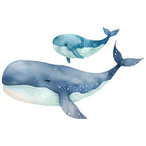 Pode incluir: Uma pintura em aquarela de duas baleias azuis nadando. A baleia maior est&aacute; em primeiro plano e a menor est&aacute; no fundo. Ambas as baleias t&ecirc;m manchas brancas e uma barriga azul clara.