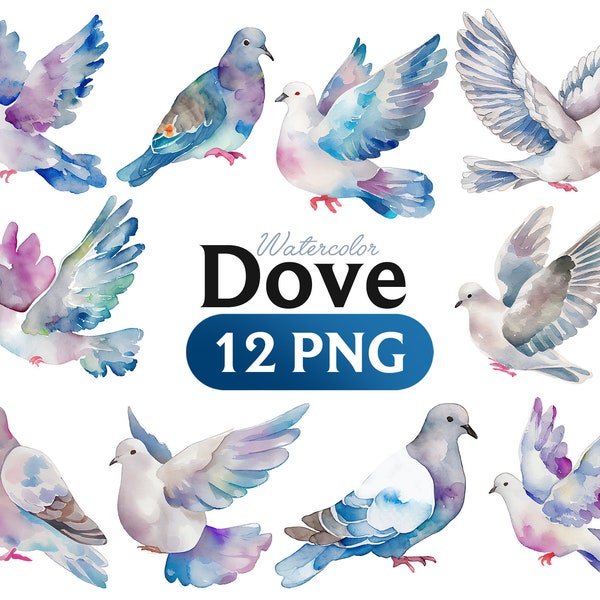 Watercolor Dove clipart, Summer Bird clip art, Romantic Doves, Dove of Peace, Wedding Invitation, Hand painted PNG