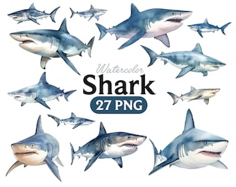 Shark watercolor, Shark PNG