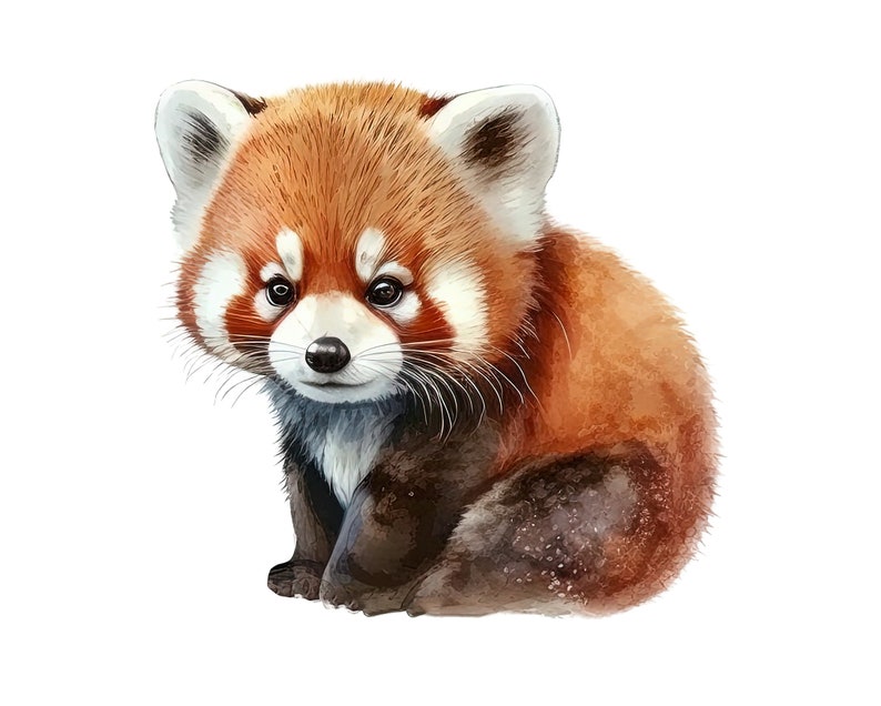 May include: Watercolor illustration of a red panda cub. The cub is depicted in a sitting position with a fluffy, reddish-brown coat, white accents around the face and ears, and a dark brown tail. The artwork has a soft, painterly style.
