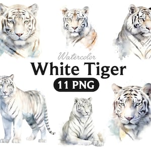 White Tiger Png, Watercolor Tiger, Tiger clipart, Tiger PNG, Tiger clipart, Tiger art, Tiger, digital, animal