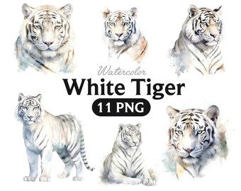 Watercolor White Tiger Clipart: 11 PNG Animal Graphics (Digital Download)