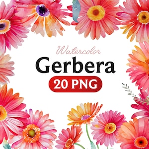 Watercolour Gerbera Flowers, Wreaths, Bouquets, High Quality Clipart, Instant Download, 300 Dpi, Transparent PNG Files