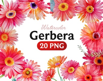 Imágenes prediseñadas de gerberas en acuarela: ramos y coronas (archivos PNG)