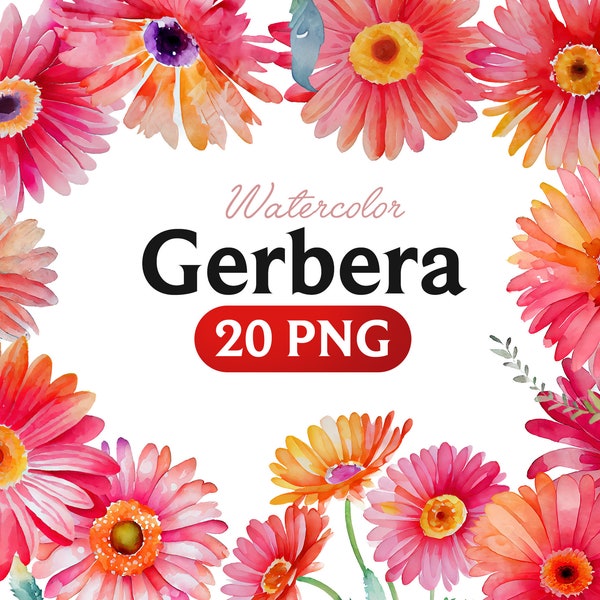 Watercolour Gerbera Flowers, Wreaths, Bouquets, High Quality Clipart, Instant Download, 300 Dpi, Transparent PNG Files