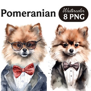 Pomeranian Clipart, Cute Dog Clipart, Dog PNG, Watercolor Pomeranian PNG, Dog Portrait, Cool Dog