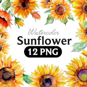 Aquarelle fleurs de tournesol PNG, aquarelle Floral Clipart Bouquets, éléments, utilisation commerciale, clipart numérique PNG