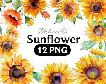 Watercolor Sunflower Clipart: Floral Bouquets, Elements (12 PNG) (Digital Download)