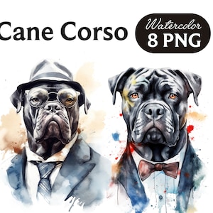 Cane Corso Clipart, Cute Dog Clipart, Dog PNG, Watercolor Cane Corso PNG, Dog Portrait, Cool Dog