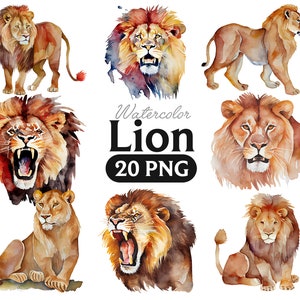 León Png, León acuarela, Imágenes Prediseñadas de León, León PNG, Imágenes Prediseñadas de León, Arte de León, León, digital, animal, 2