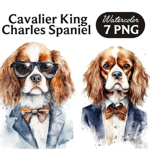 Cavalier King Charles Spaniel Clipart, Cute Dog Clipart, Dog PNG, Watercolor Cavalier King Charles Spaniel PNG, Dog Portrait, Cool Dog