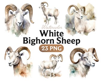 Witte dikhoornschapen aquarel clipart: dier png (digitale download)