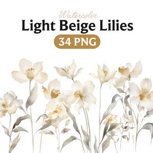 Beige lilies  Flowers PNG, Watercolor Flower Clipart, Beige lilies Flowers Bundle Illustrations, Instant Download, Digital Png
