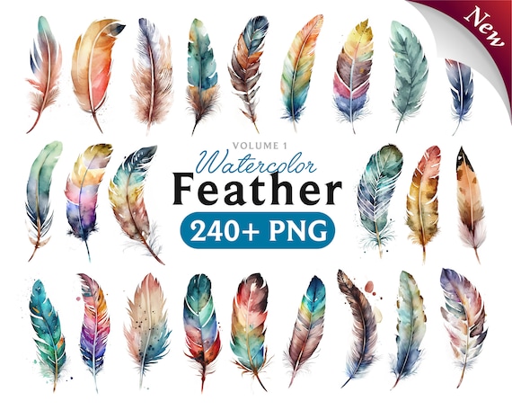 Colorful Feather Clipart: Boho Plumes, Feather Art (PNG Digital Download)