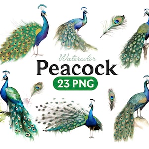 Aquarel pauwen clipart, aquarel fantasie pauwenveer clip art PNG