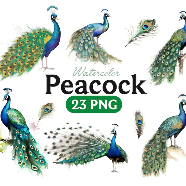 Watercolor Peacocks Clipart, aquarelle fantasy peacock feather clip art PNG