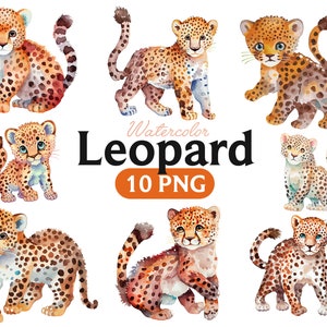 Leopard cute watercolor, Leopard PNG, Leopard Clipart, Cute Animal Clipart