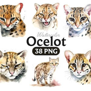 Może przedstawiać: Aquarelowe ilustracje ocelota, małego dzikiego kota o cętkowanym futrze. Ilustracje przedstawiają ocelota z różnych perspektyw, w tym zbliżenie jego twarzy, portret w pełnym rozmiarze i widok z boku. Ilustracje są namalowane w realistycznym stylu, z dbałością o szczegóły futra, oczu i wąsów.