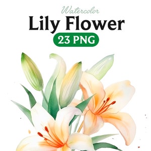 Clipart de lírio aquarela, lírios em PNG, lírio PNG, flor de primavera, flor de casamento