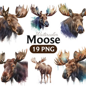 Watercolor Moose Clipart: Animal Wall Art PNG (Digital Download)