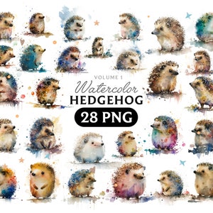 Hedgehog Png, Watercolor Hedgehog, Hedgehog clipart, Hedgehog PNG, Hedgehog art, Hedgehog, Hedgehog digital, Animal, Volume 1