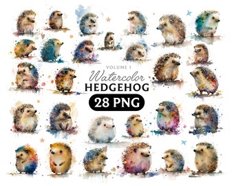 Watercolor Hedgehog Clipart: 28 PNG Art Images (Digital Download)
