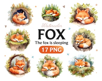 Può includere: Illustrazioni ad acquerello di volpi che dormono in vari ambienti boschivi. Il testo "Watercolor FOX The fox is sleeping 17 PNG" è visualizzato sotto le immagini.