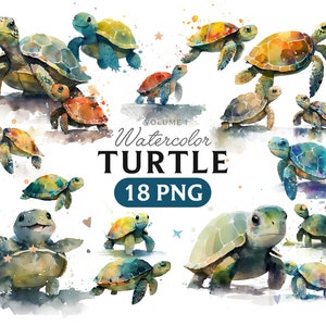 Schildkröte Clipart, Schildkröte Png, Aquarell Schildkröte, Schildkröte PNG, Schildkröte Clipart, Schildkröte Kunst, Schildkröte, digital, Tier