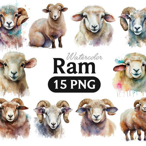 Ram Watercolor Clipart, Ram PNG, Shower Graphics, Nursery Decor Wall Art, Spring Farm Animal PNG