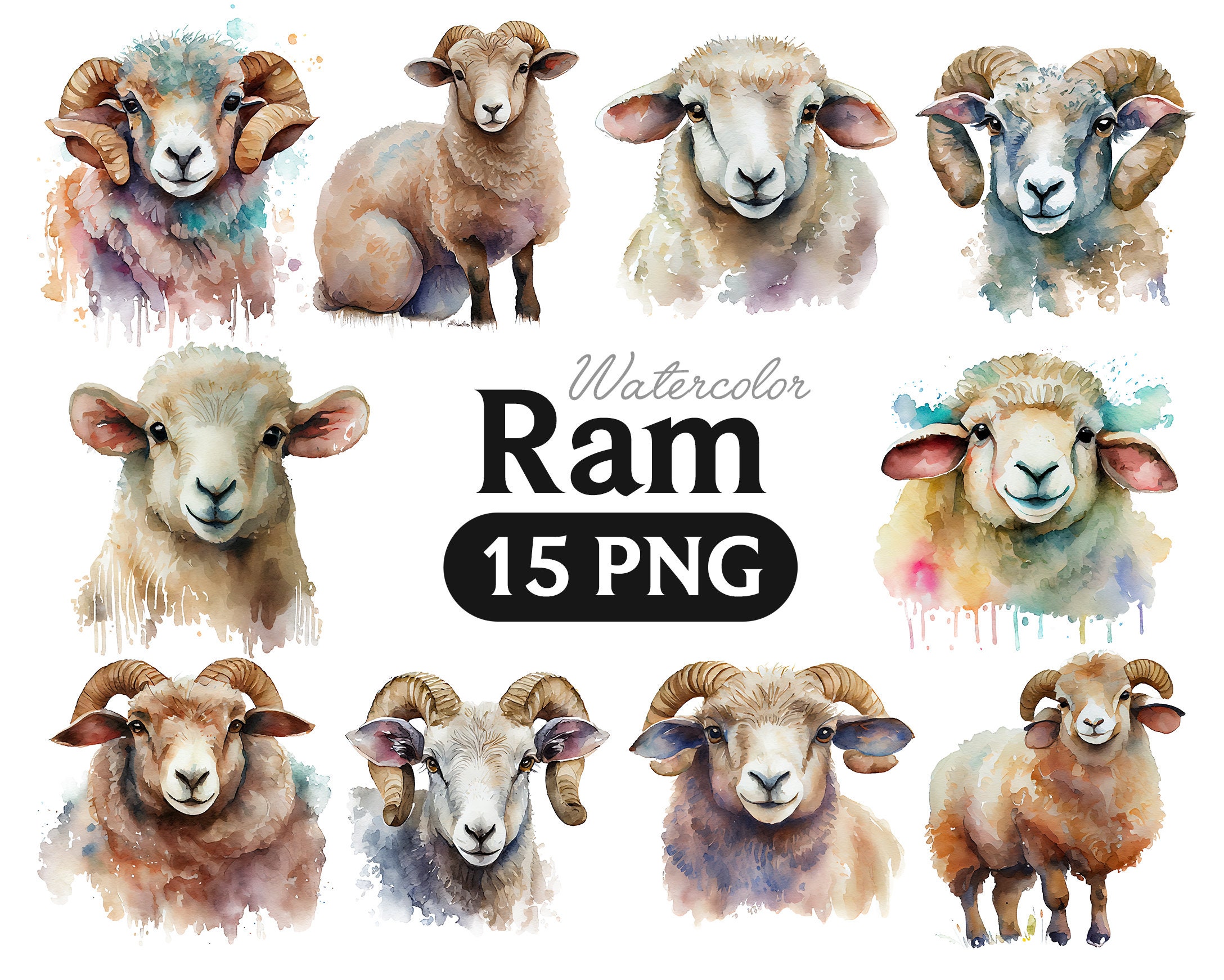 Ram Clipart