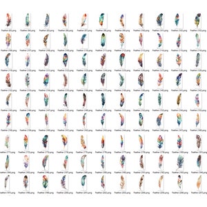 May include: A collection of 30 watercolor illustrations of colorful feathers. Each feather is unique and features a variety of colors and patterns.