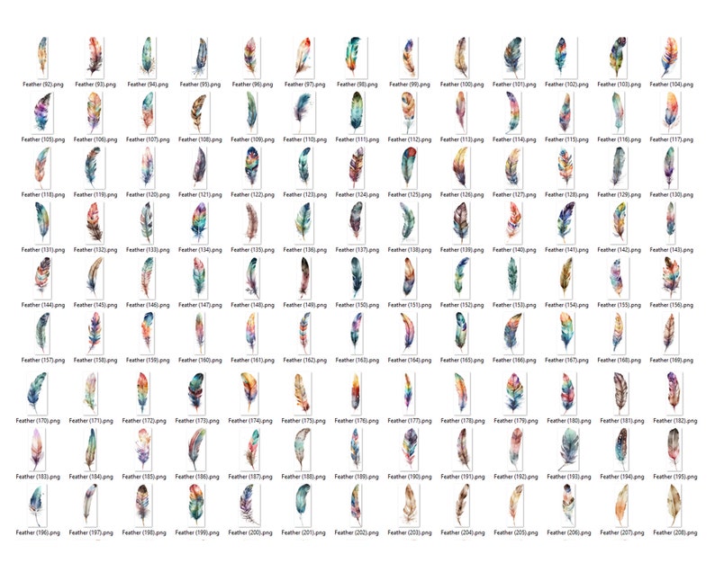May include: A collection of 30 watercolor illustrations of colorful feathers. Each feather is unique and features a variety of colors and patterns.