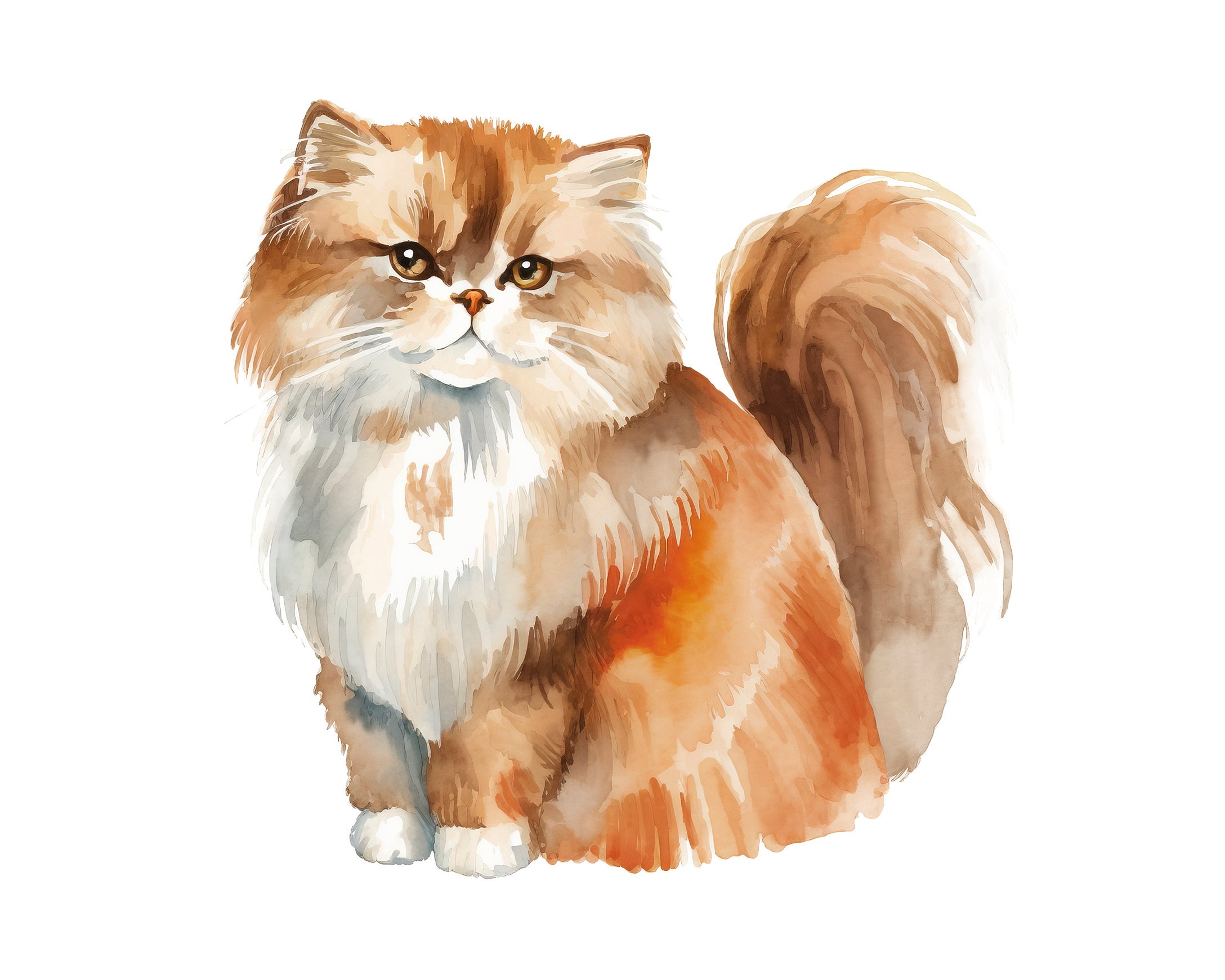 British Longhair Watercolor Clipart: 18 Cat Animal Pngs (digital ...