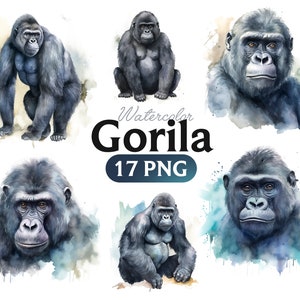 Gorilla Watercolor PNG clipart, Gorilla Portrait PNG Watercolour, Instant Download