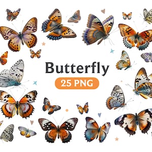 Papillon Clipart PNG, Papillon PNG, Papillon Clipart, Papillon Bundle Illustrations