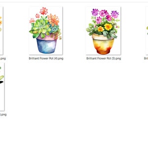May include: A collection of ten watercolor paintings of potted plants with various colorful flowers. The plants are in terracotta pots with different colored glazes. The paintings are all in a similar style and are well-executed.