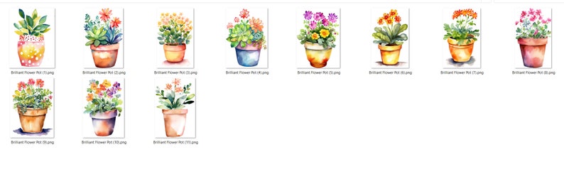 May include: A collection of ten watercolor paintings of potted plants with various colorful flowers. The plants are in terracotta pots with different colored glazes. The paintings are all in a similar style and are well-executed.