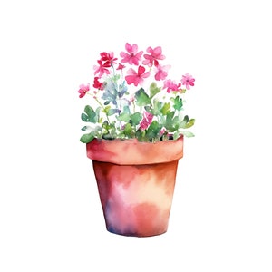 May include: A terracotta pot filled with pink flowers and green leaves. The pot is round and has a slightly flared lip.