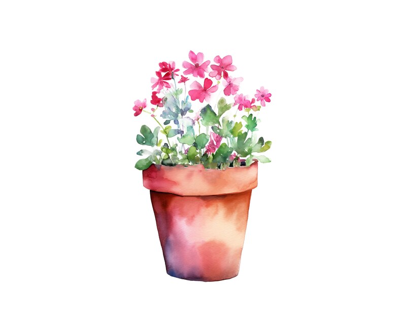 May include: A terracotta pot filled with pink flowers and green leaves. The pot is round and has a slightly flared lip.